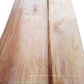 0.3mm Cheap Price C Grade Gurjan Face Veneer from Indonesia